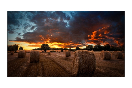 Samsung VM46B-U VMB-U Series - 46" LED-backlit LCD display - Full HD - for digital signage