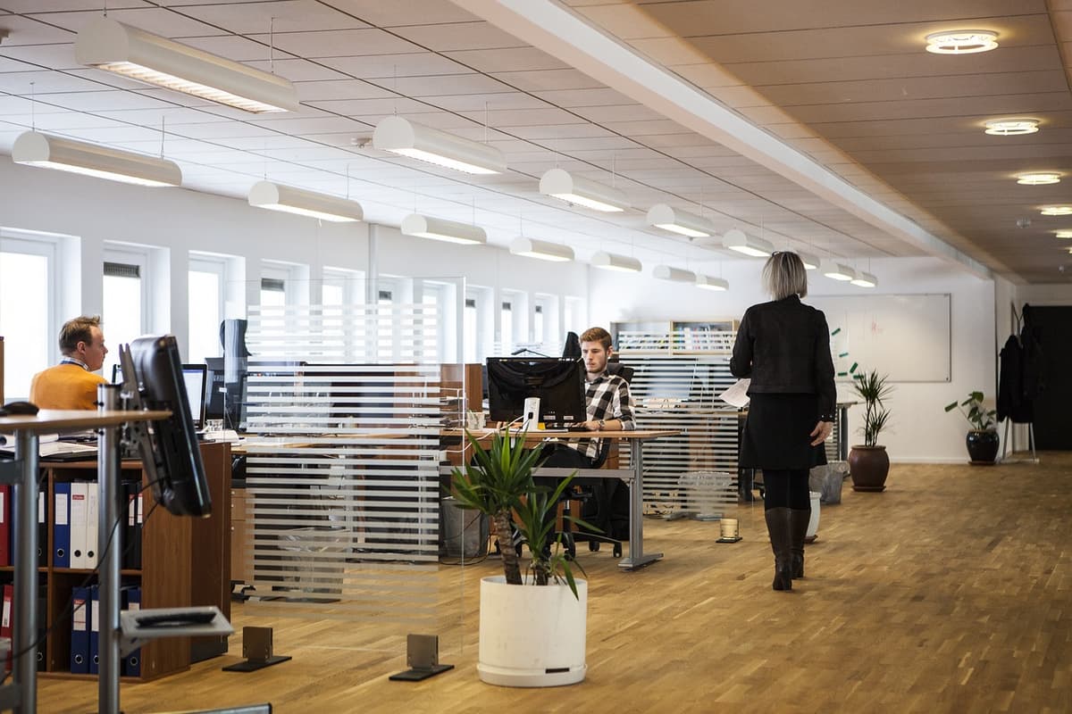 IT Collaboration and Partnership