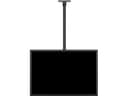 *Non Cancellable/Non Returnable (NCNR)* CEILINGMOUNT MEDIUM SINGLE 32-55 thumbnail 9