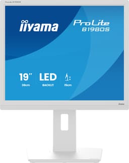 iiyama ProLite B1980S-W1 - LED monitor - 19" - 1280 x 1024 @ 75 Hz - TN - 250 cd/m� - 1000:1 - 3 ms - HDMI, DisplayPort - speakers - white, matte