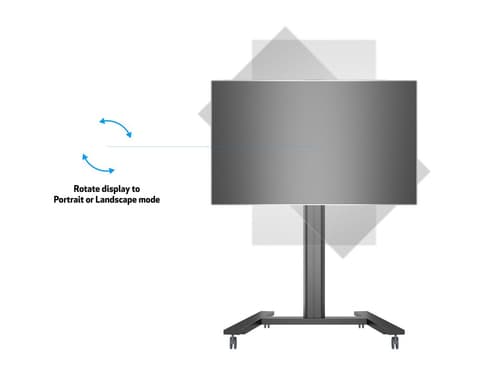 *Non Cancellable/Non Returnable (NCNR)* STAND 145 SINGLE BLACK — view 16