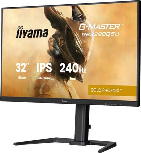 31.5""IPS 2560x1440/240Hz 2H1DP HAS — view 9