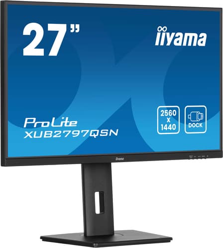 iiyama ProLite XUB2797QSN-B2 — view 5