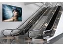 PEERLESS Accessories thumbnail 2
