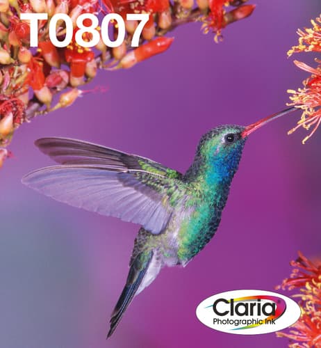 Epson Ink Cartridges, Claria" Photographic, T0807, Hummingbird, Multipack, 1 x 7.4 ml Light Cyan, 1 x 7.4 ml Black, 1 x 7.4 ml Light Magenta, 1 x 7.4 ml Yellow, 1 x 7.4 ml Cyan, 1 x 7.4 ml Magenta