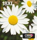 Ink/18XL Daisy 6.6ml CMY 11.5ml BK thumbnail 1