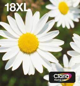 Ink/18XL Daisy 6.6ml CMY 11.5ml BK