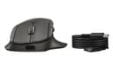 HP 785M - Mouse - right-handed - optical - 6 buttons - wireless - Bluetooth, 2.4 GHz - USB wireless receiver - black thumbnail 1