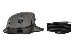 HP 785M - Mouse - right-handed - optical - 6 buttons - wireless - Bluetooth, 2.4 GHz - USB wireless receiver - black