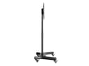 *Non Cancellable/Non Returnable (NCNR)* STAND 150 + SHELF & CAMERA SHELF thumbnail 18