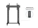 *Non Cancellable/Non Returnable (NCNR)* STAND 180 DUAL PILLAR WHEELBASE BL thumbnail 22