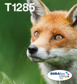 Epson Ink Cartridges, DURABrite" Ultra, T1285, Fox, Multipack, 1 x 3.5 ml Cyan, 1 x 3.5 ml Yellow, 1 x 5.9 ml Black, 1 x 3.5 ml Magenta, M