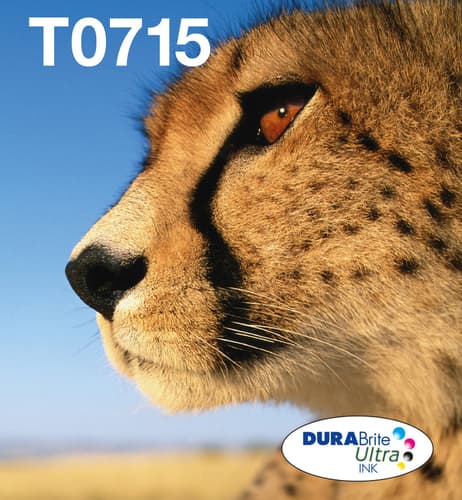 Epson Ink Cartridges, DURABrite" Ultra, T0715, Cheetah, Multipack, 1 x 5.5 ml Magenta, 1 x 5.5 ml Yellow, 1 x 7.4 ml Black, 1 x 5.5 ml Cyan