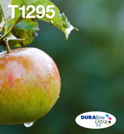Epson Ink Cartridges, DURABrite" Ultra, T1295, Apple, Multipack, 1 x 7.0 ml Yellow, 1 x 11.2 ml Black, 1 x 7.0 ml Magenta, 1 x 7.0 ml Cyan, L