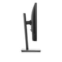 Dell P1917S