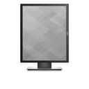 Dell P1917S