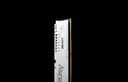 Kingston FURY Beast - DDR5 - module - 32 GB - DIMM 288-pin - 6400 MHz / PC5-51200 - CL32 - 1.4 V - unbuffered - on-die ECC - white thumbnail 10