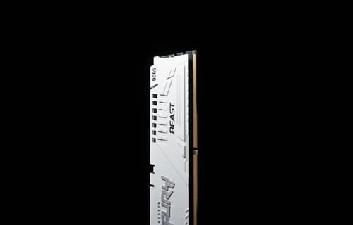 Kingston FURY Beast - DDR5 - module - 32 GB - DIMM 288-pin - 6400 MHz / PC5-51200 - CL32 - 1.4 V - unbuffered - on-die ECC - white — view 11