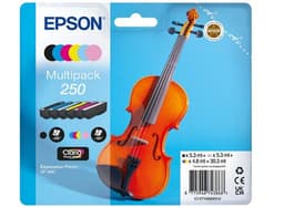 Epson 250 Multipack - 6-pack - black, yellow, cyan, magenta, light cyan, light magenta - original - ink cartridge
