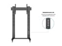 *Non Cancellable/Non Returnable (NCNR)* STAND 210 DUAL PILLAR WHEELBASE BL thumbnail 22