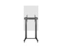 *Non Cancellable/Non Returnable (NCNR)* STAND 210 DUAL PILLAR WHEELBASE BL thumbnail 16