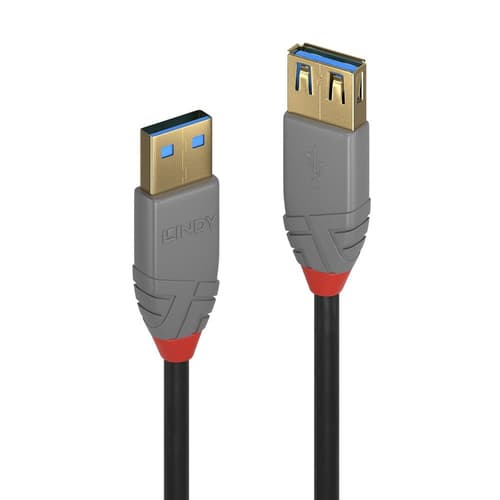 Lindy CABLES