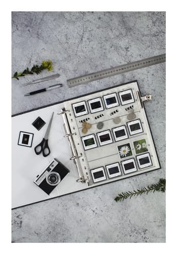 SLIDE SLEEVES 20 FRAMES 5X5 25PCS — view 4