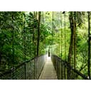 HP EliteBook 6 G1ah Notebook - 14" - AMD Ryzen 5 - 220 - 16 GB RAM - 512 GB SSD - UK