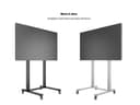 *Non Cancellable/Non Returnable (NCNR)* STAND 210 DUAL PILLAR WHEELBASE SIL thumbnail 24
