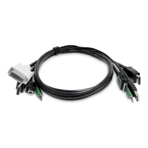 StarTech.com - Adapter cable - TAA Compliant - DVI-D, DisplayPort, USB Type B, 3.5mm audio jack to HDMI, DisplayPort, 3.5mm audio jack, USB - passive — view 1