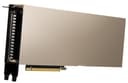 NVIDIA A100 - GPU computing processor - A100 Tensor Core - 80 GB HBM2 - PCIe 4.0 x16 - fanless - for ThinkAgile VX3530-G Appliance, VX7531 Certified Node, ThinkSystem SR650 V2, SR665 thumbnail 1