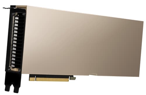 NVIDIA A100 - GPU computing processor - A100 Tensor Core - 80 GB HBM2 - PCIe 4.0 x16 - fanless - for ThinkAgile VX3530-G Appliance, VX7531 Certified Node, ThinkSystem SR650 V2, SR665