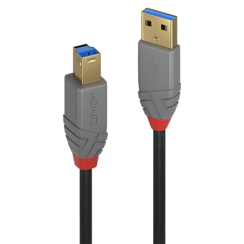 Lindy CABLES