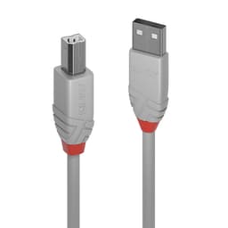 Lindy CABLES