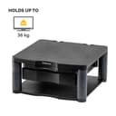 FELLOWES ERGONOMICS thumbnail 3