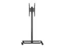 *Non Cancellable/Non Returnable (NCNR)* STAND 180 HD BACK TO BACK FLOOR BL thumbnail 5