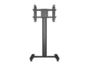 *Non Cancellable/Non Returnable (NCNR)* STAND 180 HD BACK TO BACK FLOOR BL thumbnail 4