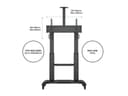 *Non Cancellable/Non Returnable (NCNR)* FLOORSTAND DUAL PILLAR 180 HD thumbnail 23