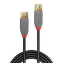 Lindy CABLES thumbnail 2
