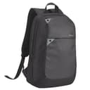 Targus Intellect - Notebook carrying backpack - 15.6" - black, grey