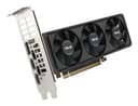 ASUS GeForce RTX 5060 LP BRK 8GB