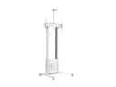 *Non Cancellable/Non Returnable (NCNR)* MOTORIZED STAND CABINET/SH 120KG WH thumbnail 1