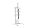 *Non Cancellable/Non Returnable (NCNR)* MOTORIZED STAND CABINET/SH 120KG WH thumbnail 7