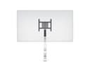 *Non Cancellable/Non Returnable (NCNR)* GAS LIFT XL SINGLE WHITE thumbnail 10