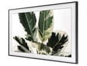 SAMSUNG QE49LS03RAUXXU 49 FRAME TV thumbnail 6