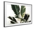 SAMSUNG QE49LS03RAUXXU 49 FRAME TV thumbnail 5