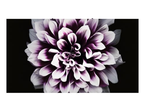THE WALL PRO 0.84MM LED CABINET — view 9