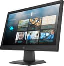 HP P19b G4 - P-Series - LED monitor - 18.5" - 1366 x 768 WXGA @ 60 Hz - TN - 200 cd/m� - 600:1 - 5 ms - HDMI, VGA - jack black thumbnail 3