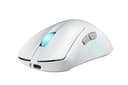 Asus Accessories MICE thumbnail 6