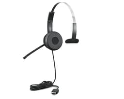 Lenovo 100 - Headset - on-ear - wired - USB-A - black